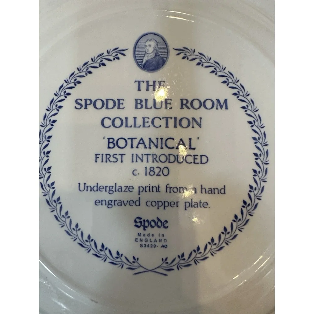 Set Of 5 Spode Blue Room Collection Dinner Plates All Floral.